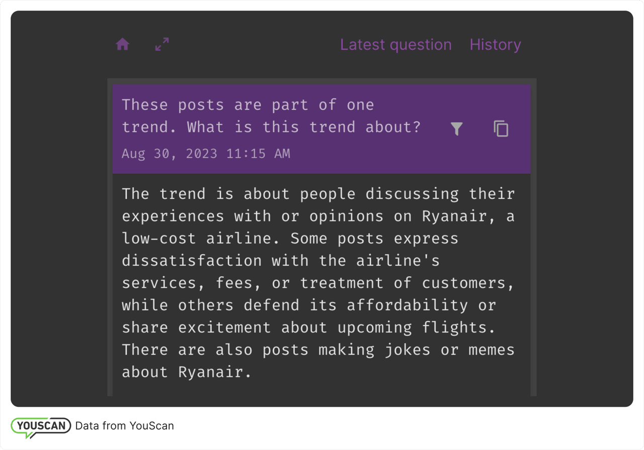 Insights Copilot's answer