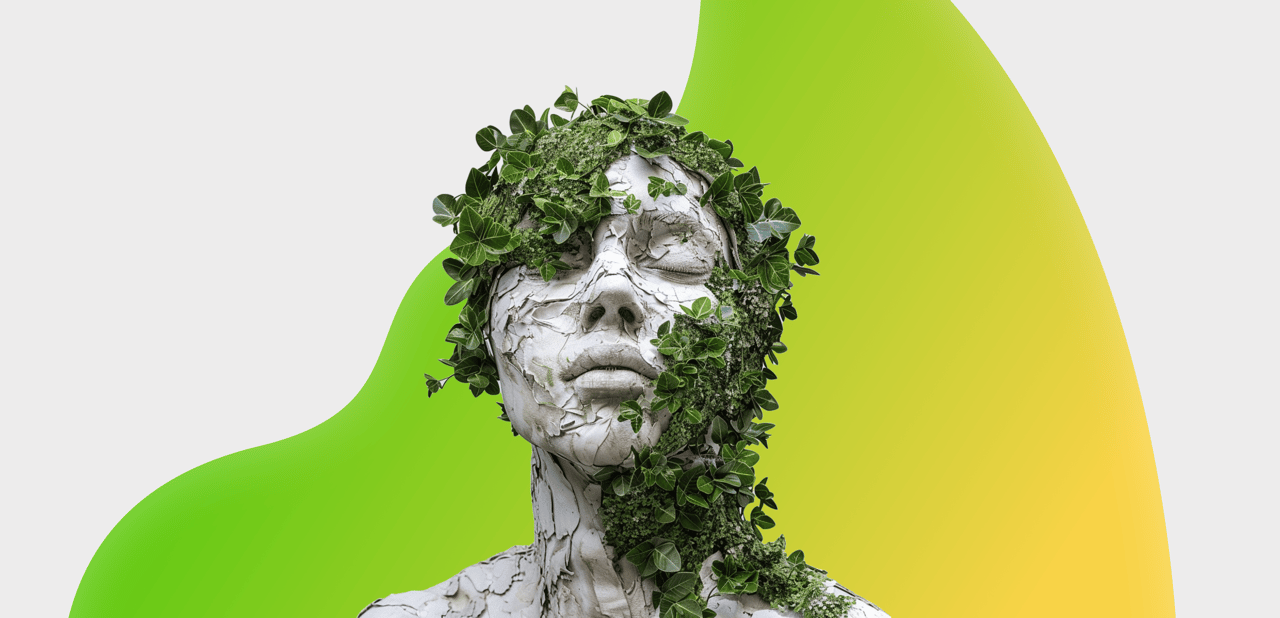Análisis Visual del Diseño Biofílico