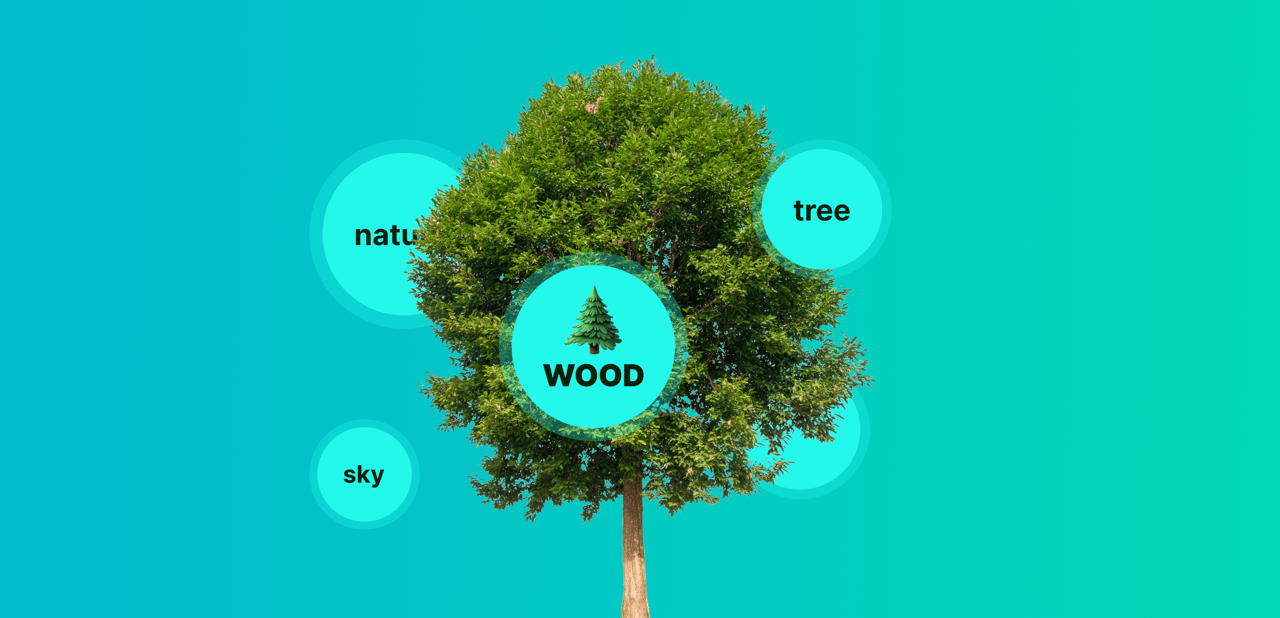 Explorando el Mundo de los Forestales a Través de la Escucha de Redes Sociales