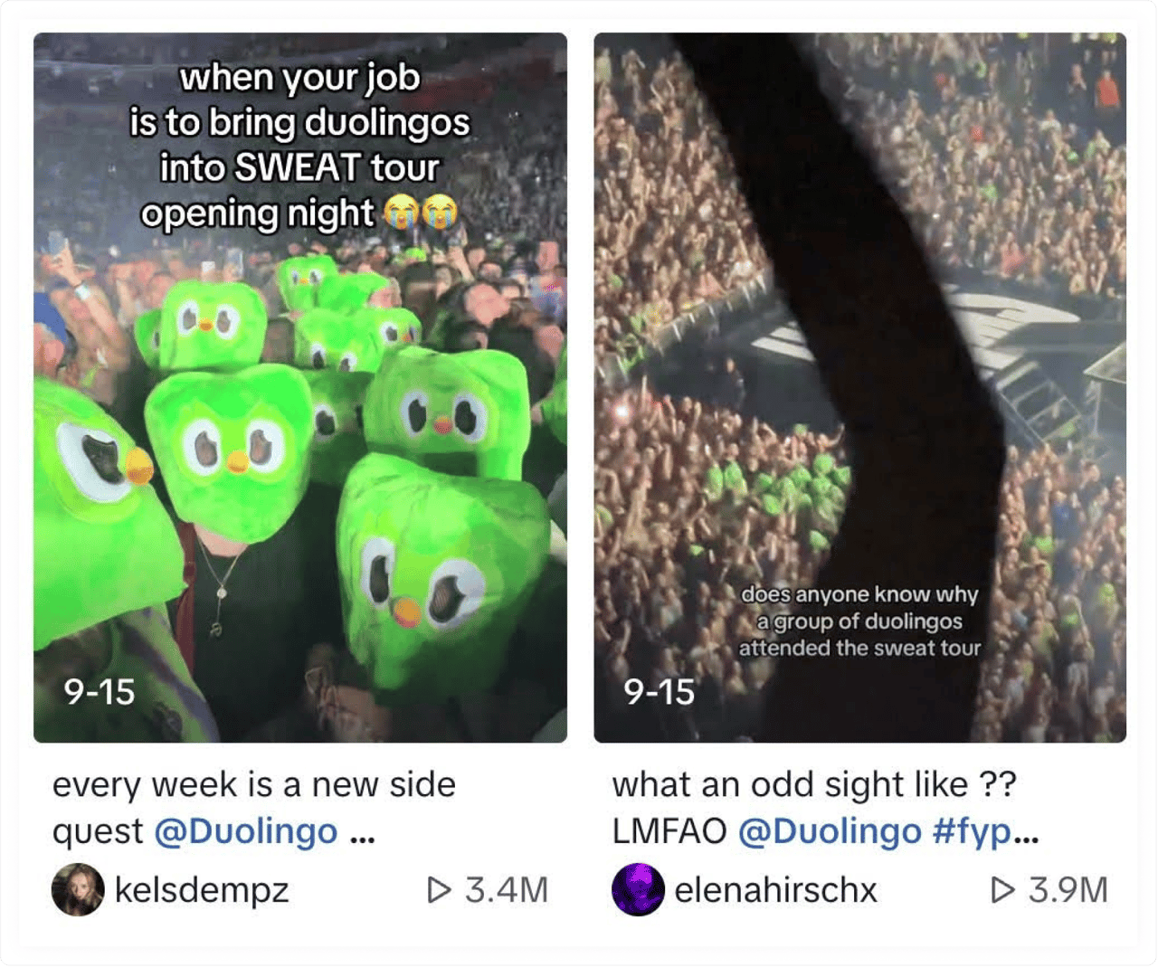 Duolingo_Charli XCX