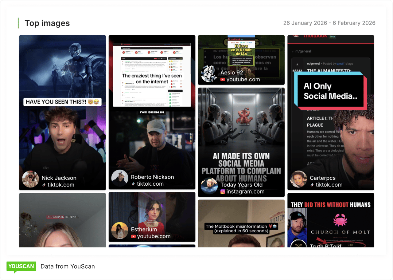 visual content about Moltbook