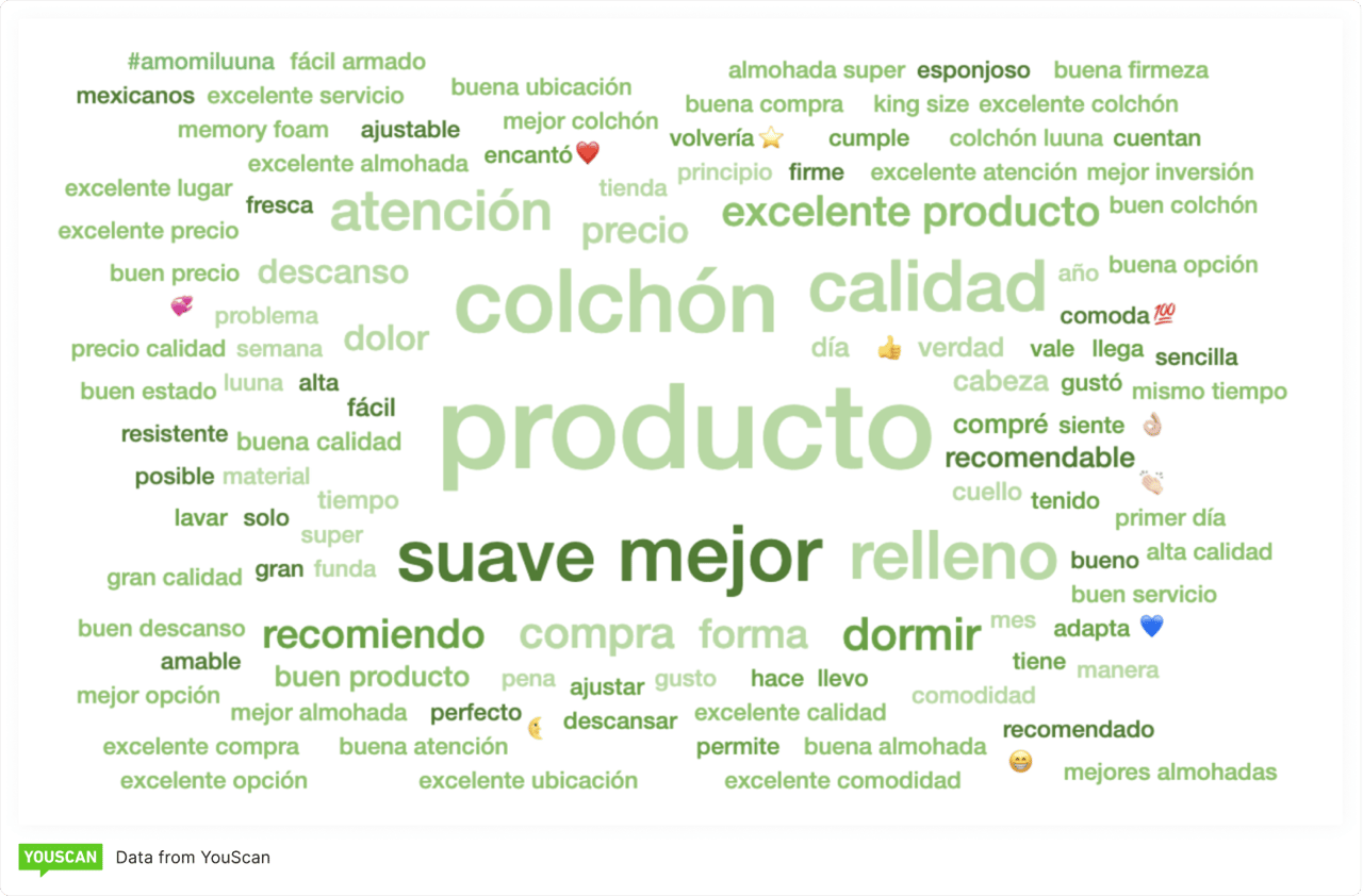 Word Cloud_Luuna Mexico