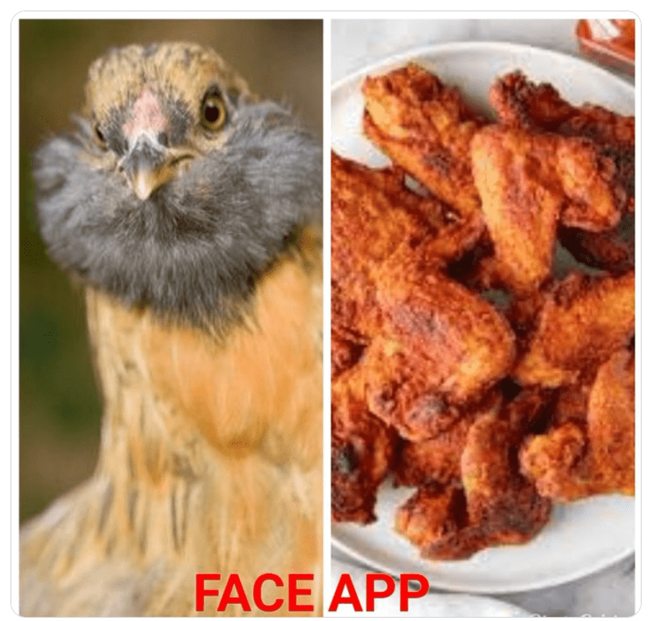 FaceApp