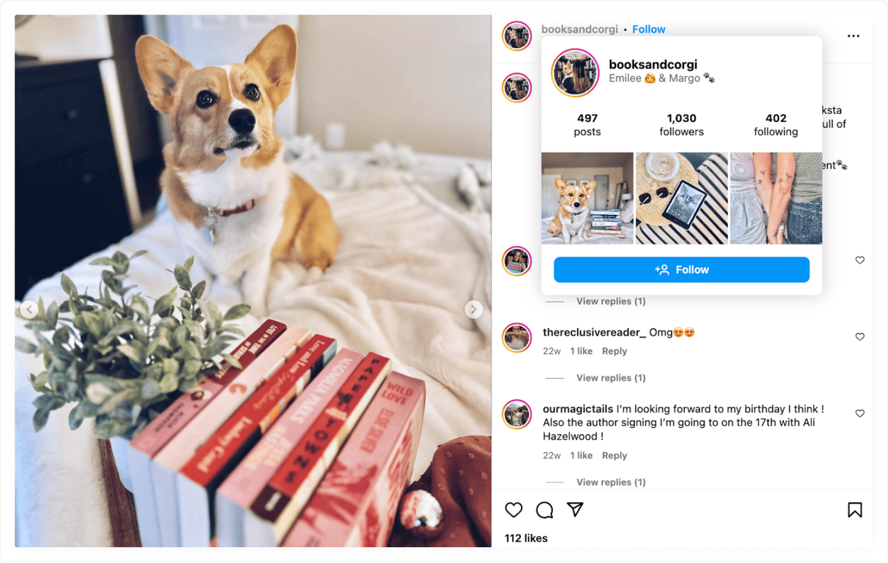 Un corgi es microinfluencer en Instagram