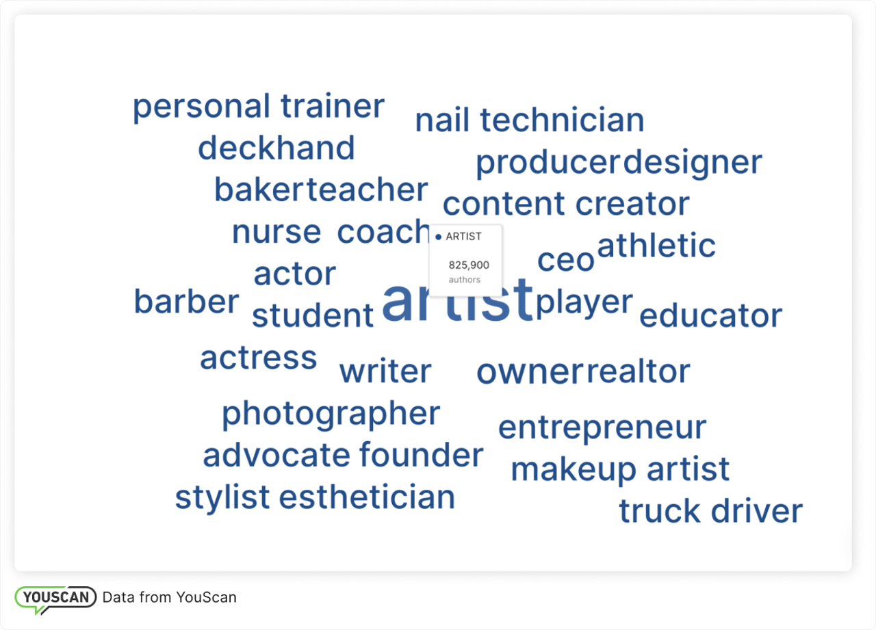 TikTok users' occupations 