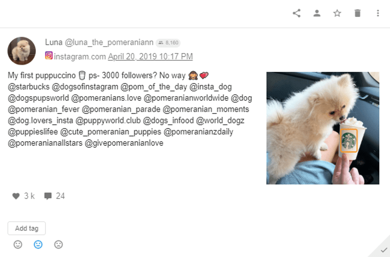 Starbucks - Instagram Post - Dog