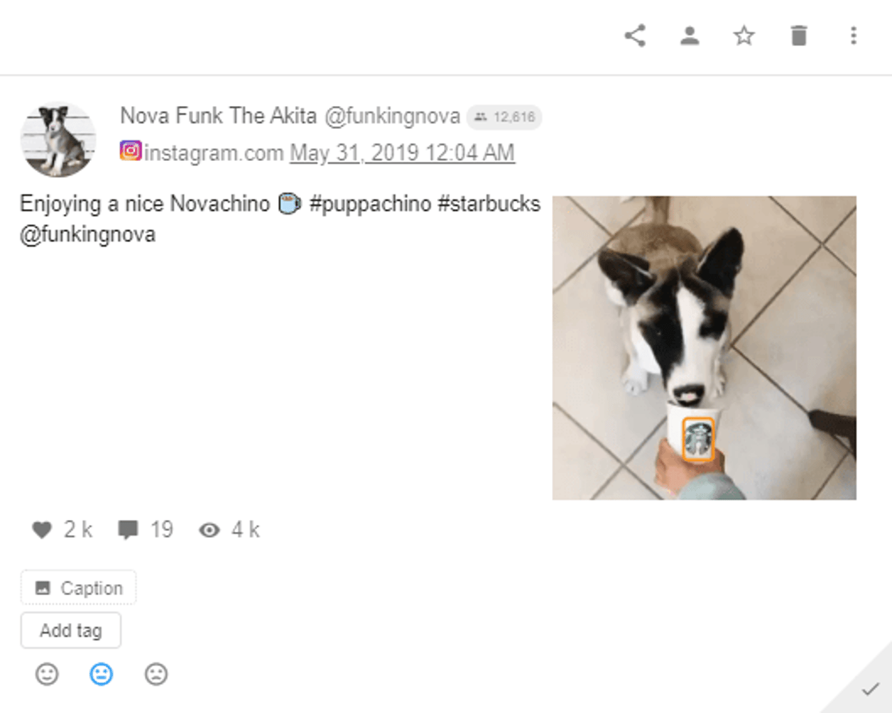 Starbucks - Instagram Post - Dog