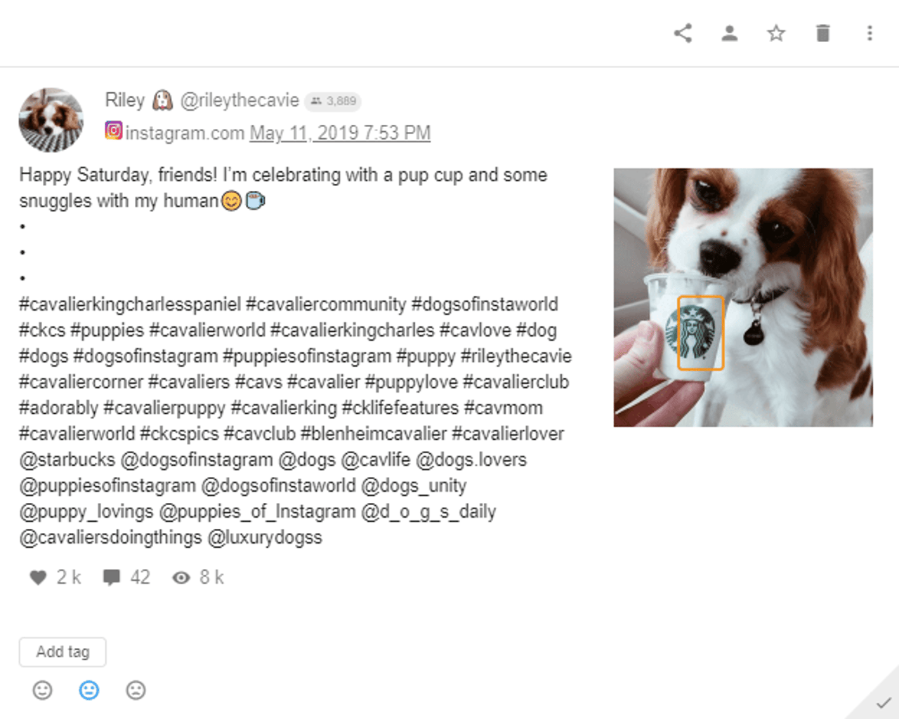 Starbucks - Instagram Post - Dog