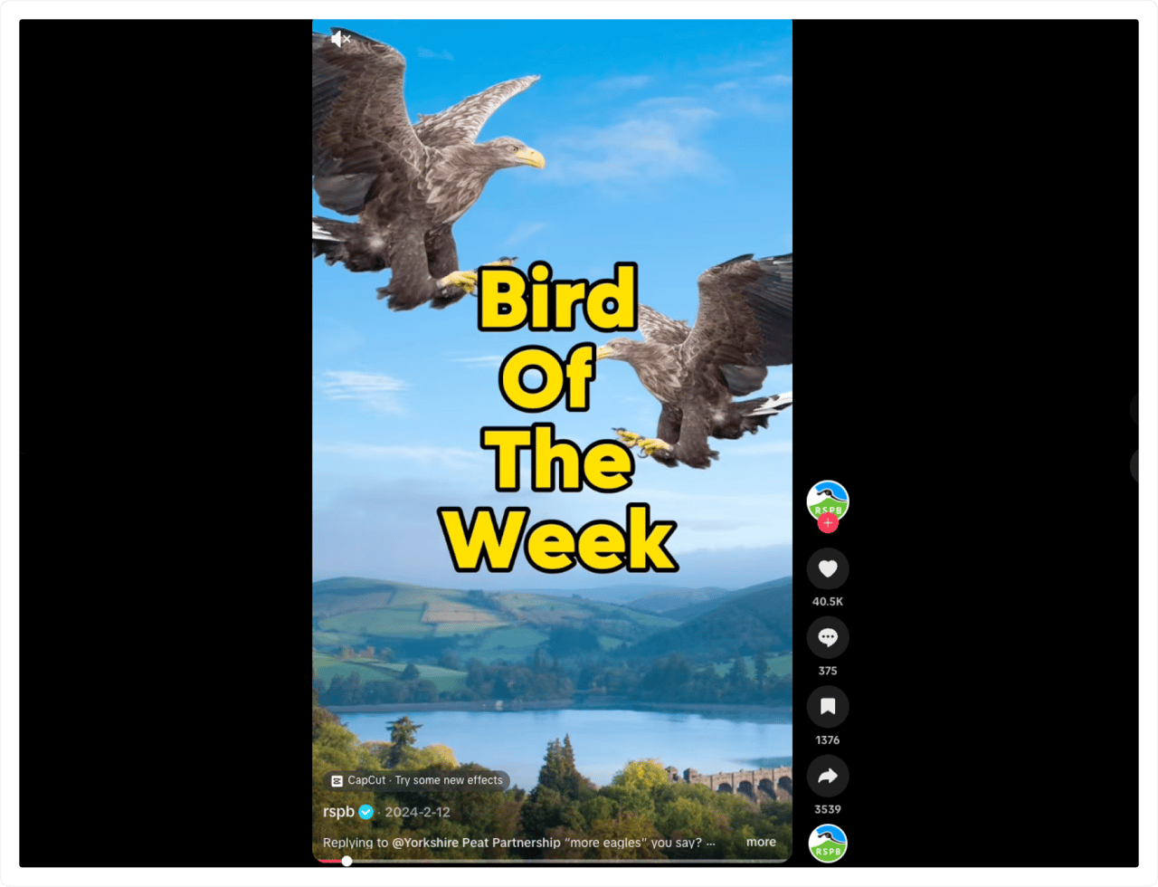 RSBP_social media campaign example